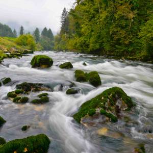 ruscello di montagna nel Canton Giura