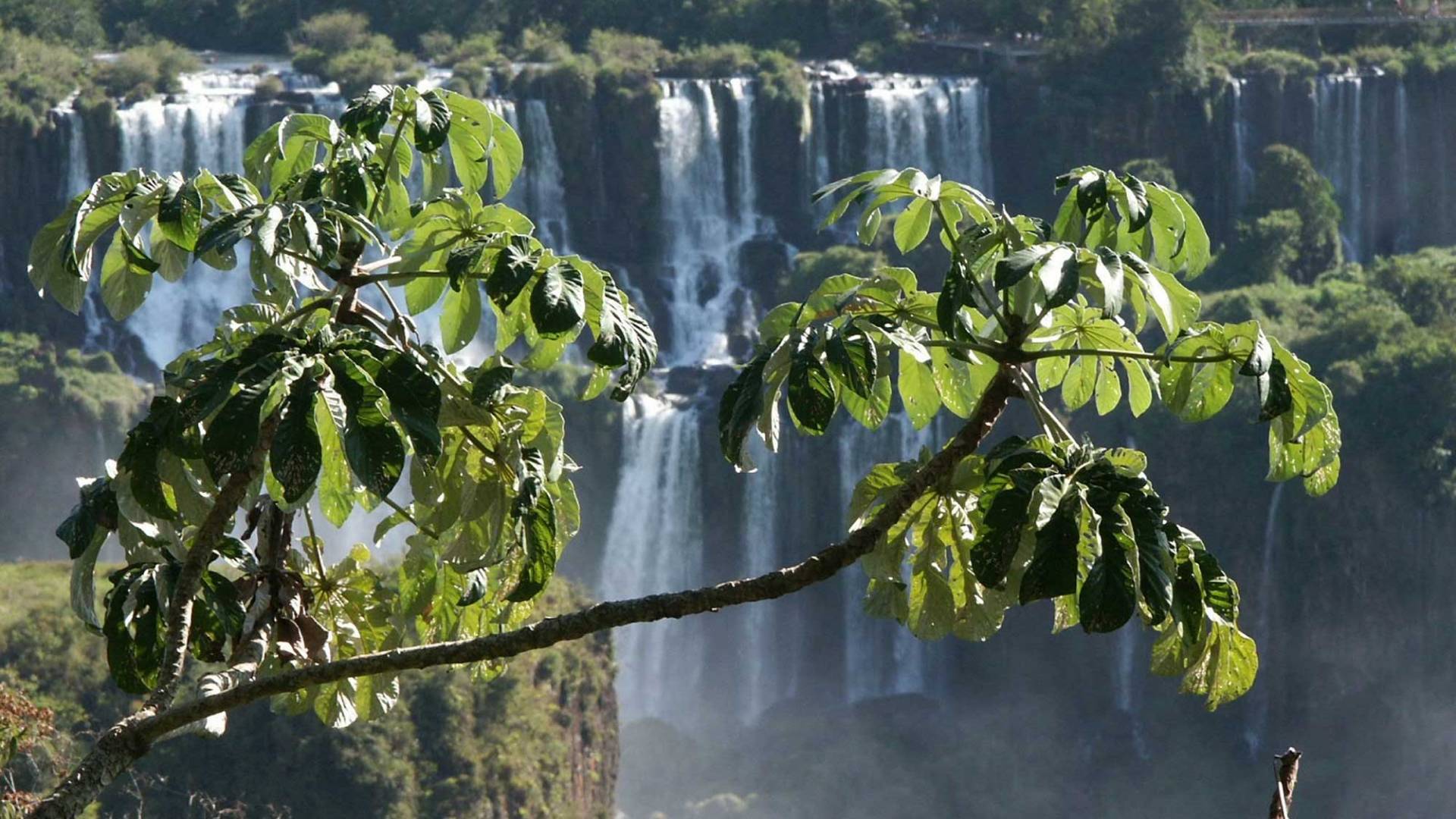 Iguazu Wasserfälle in Brasilien