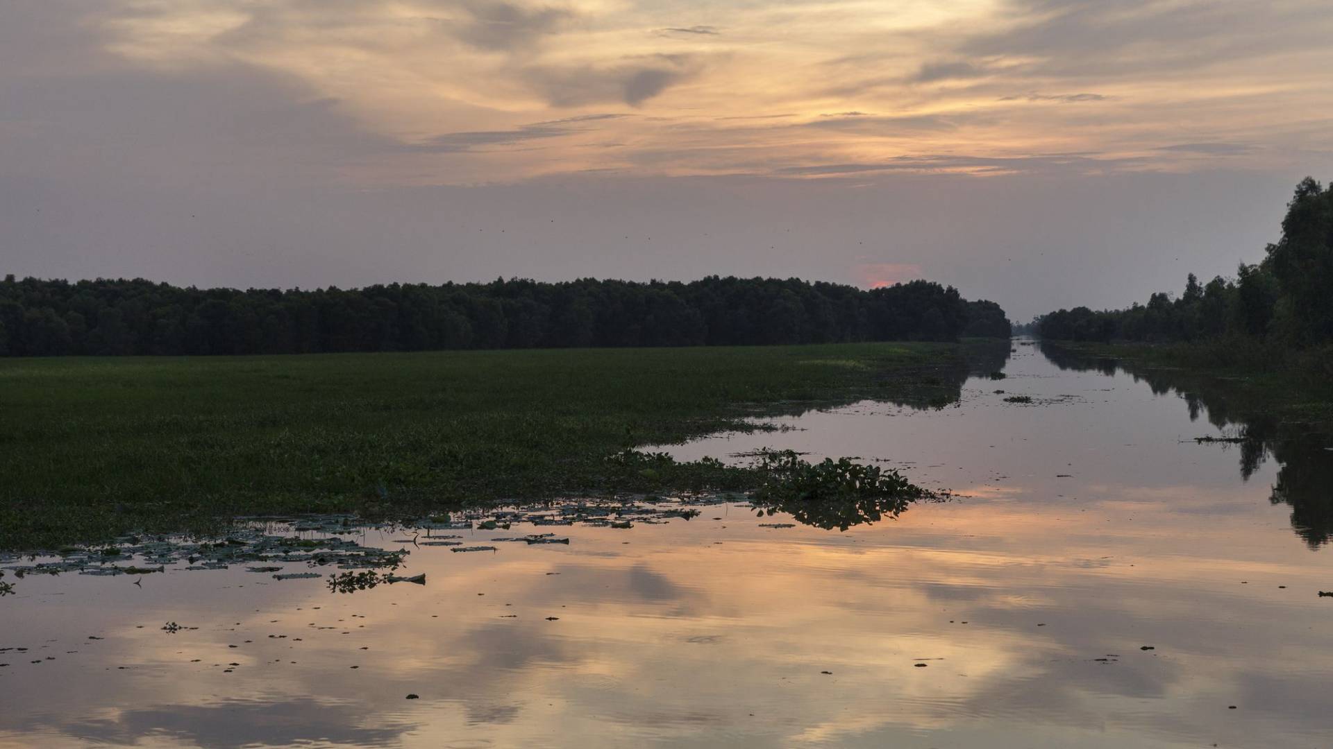 Coucher de soleil sur le fleuve Mékong dans le parc national Tram Chim, Vietnam