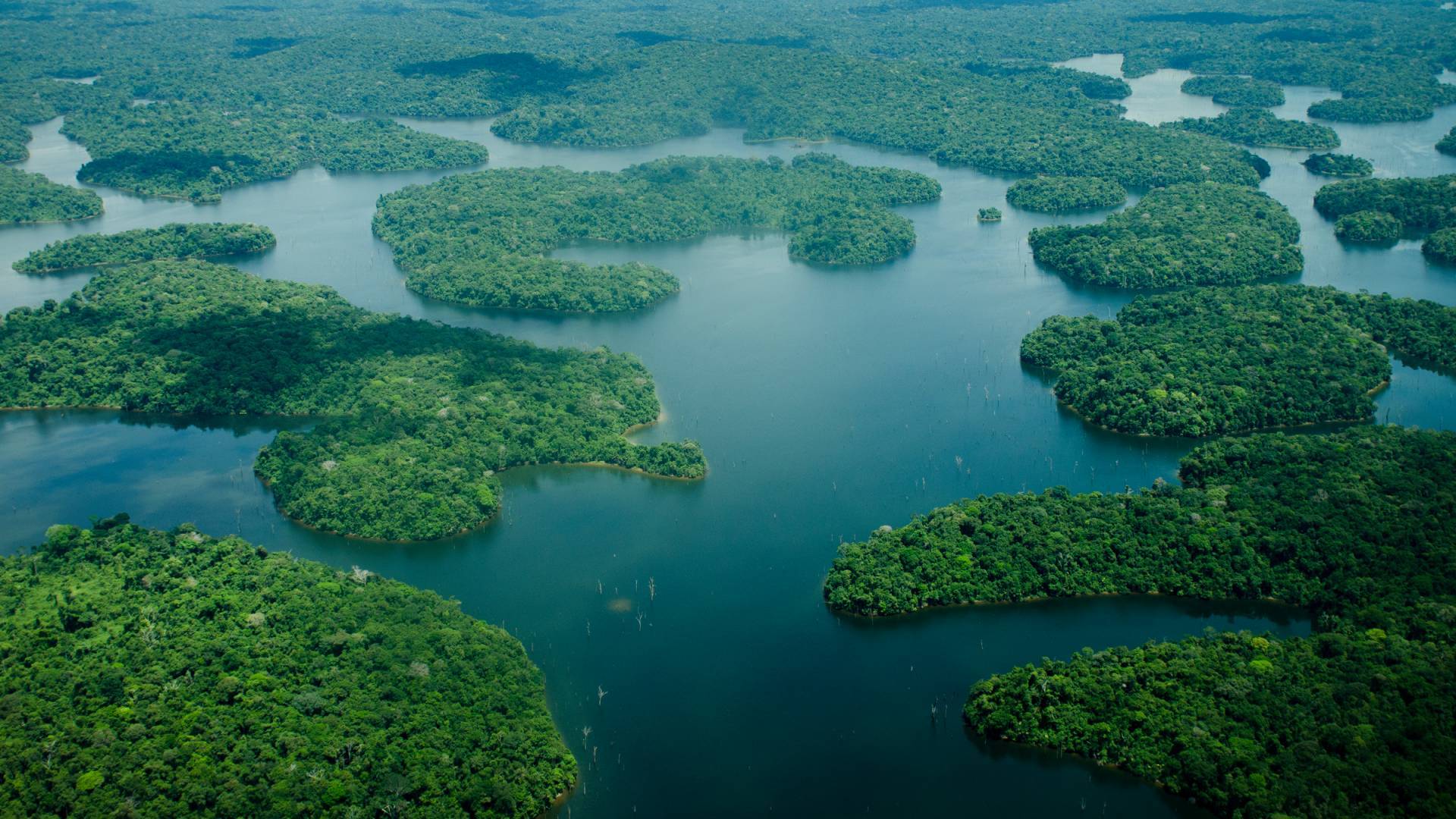 Veduta aerea del Rio delle Amazzoni