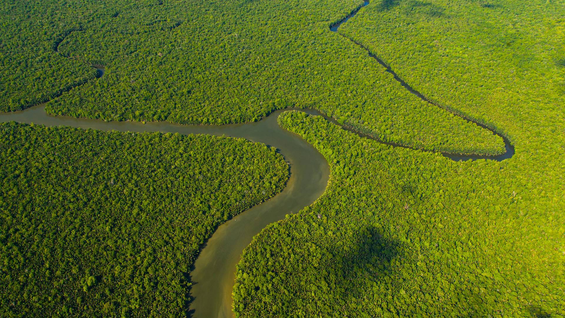 Vue aérienne de la rivière Kinabatangan et de la forêt tropicale, Sabah, Malaisie, Bornéo, en Asie.
