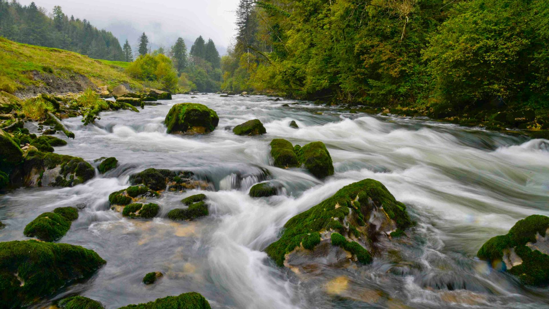 Ruisseau de montagne dans le canton du Jura