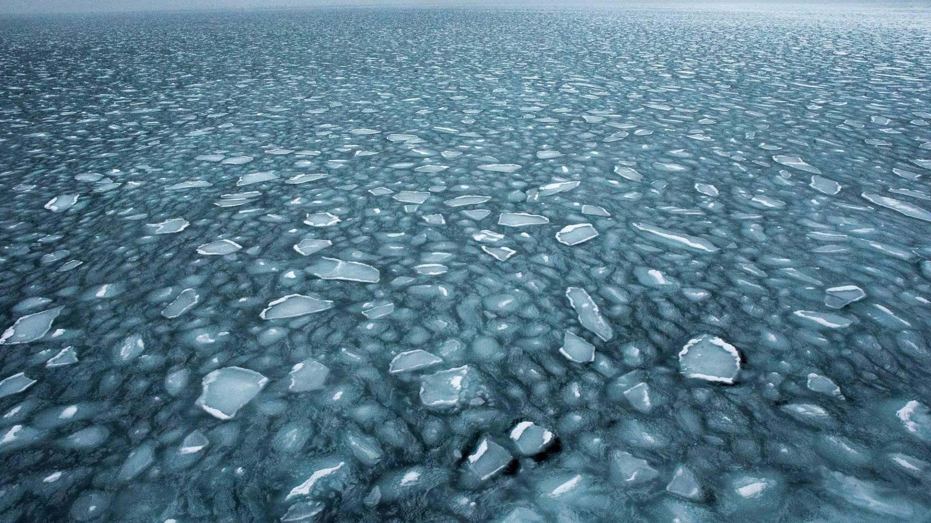 Zerstückelte Eisschicht bei Svalbard