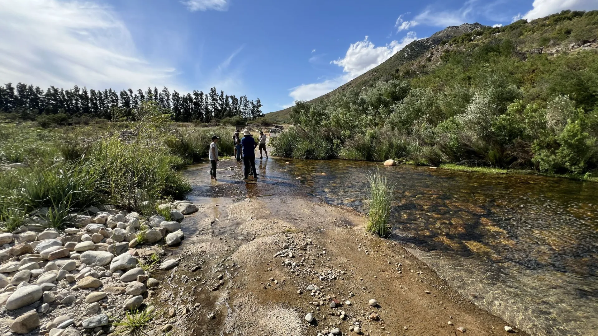people standing in South African stream