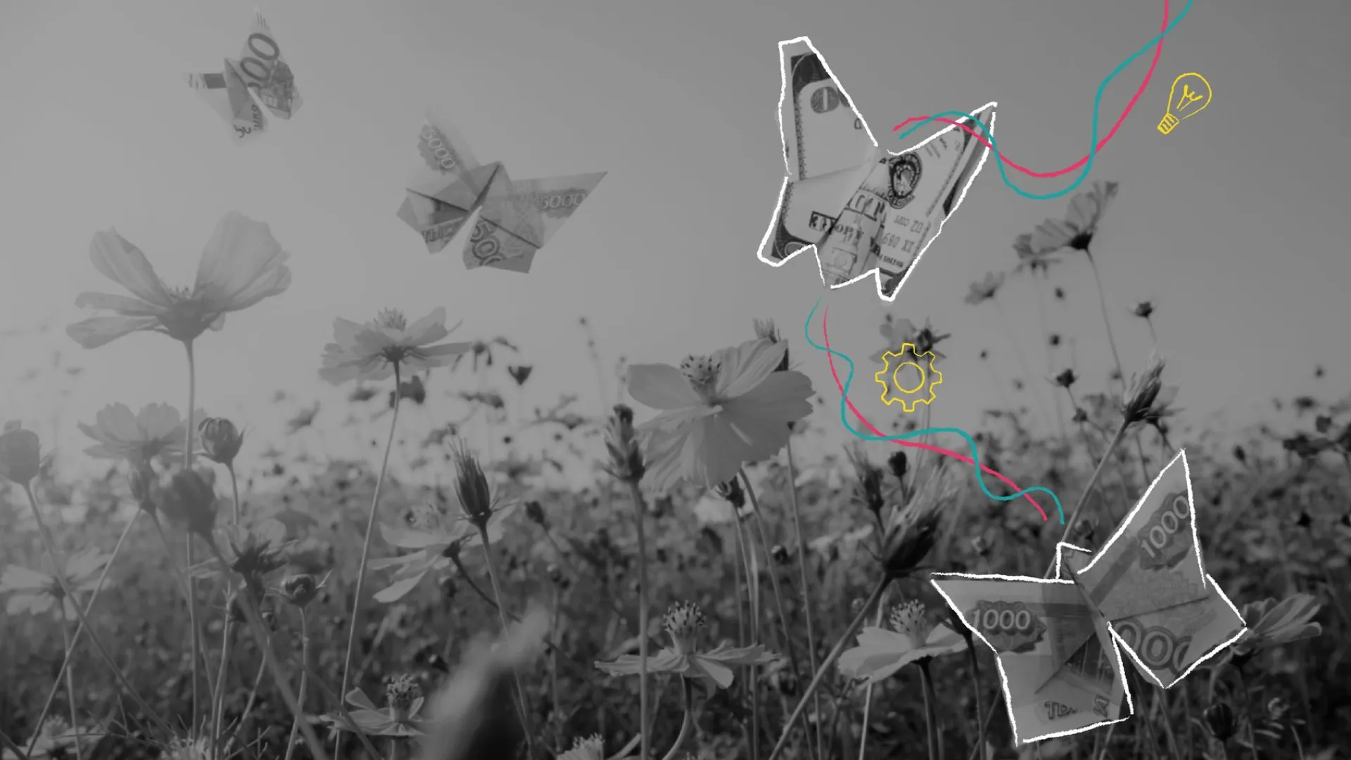 flying money in a flower field