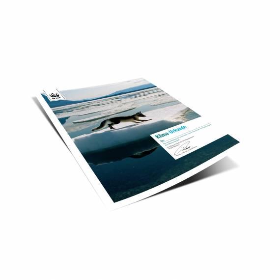 Aria documento dal WWF-Store