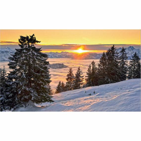 Biglietto di auguri WWF 318 - Rigi e le Alpi della Svizzera centrale