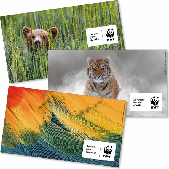 Tierbilder Beispiele mit Logo «Spenden statt schenken»