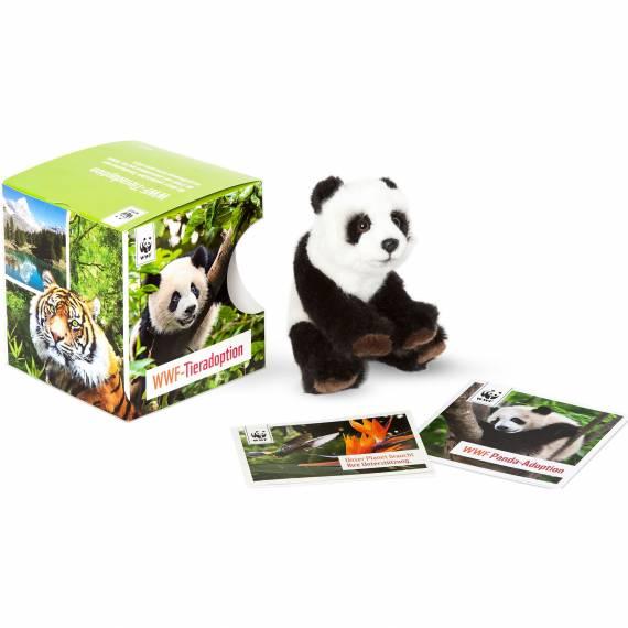 Panda Adoption