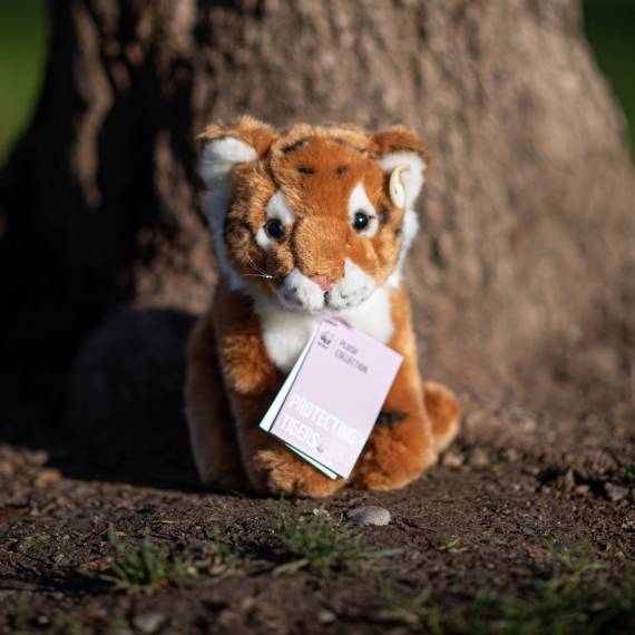 Tiger Adoption Portrait