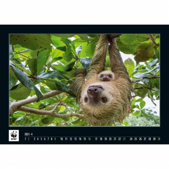 WWF Kalender 2023 April