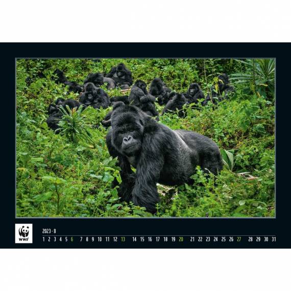 WWF Kalender 2023 August
