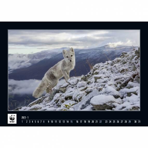 WWF Kalender 2023 Januar