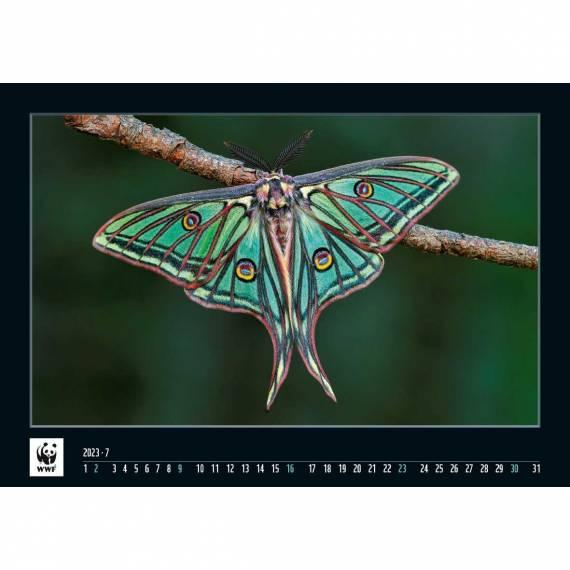 WWF Kalender 2023 Juli