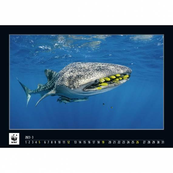 WWF Kalender 2023 März