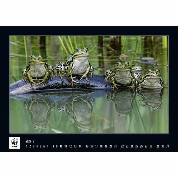 WWF Kalender 2023 Mai