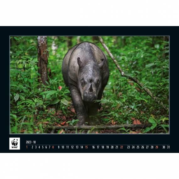 WWF Kalender 2023 Oktober