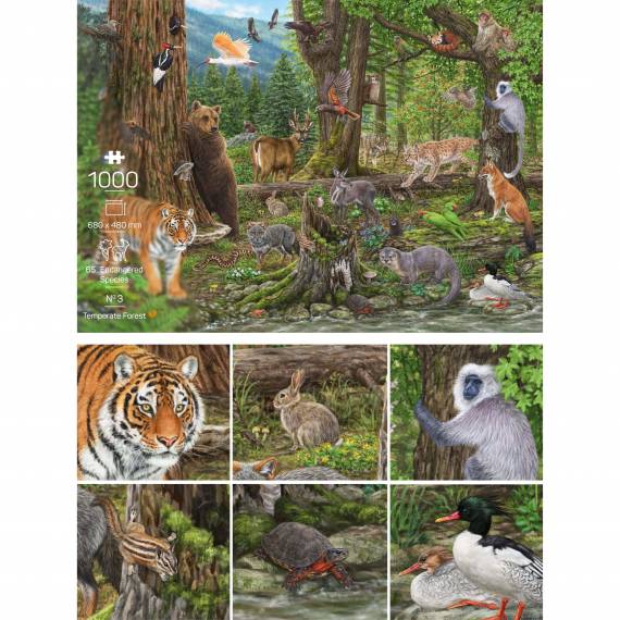 Puzzle «Wald», 1000 Teile
