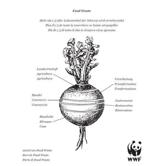 WWF Frischhaltebeutel - Food Waste in der Schweiz