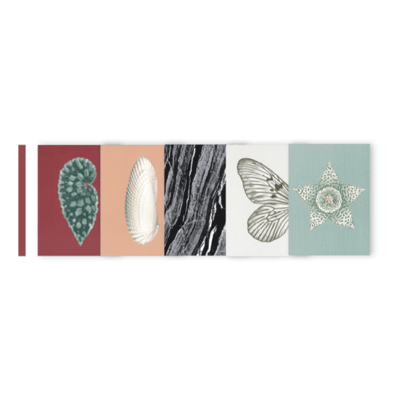 Postkartenset Rot