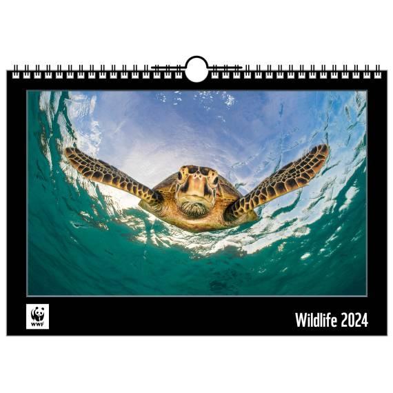 WWF Jahreskalender 2024 Titel