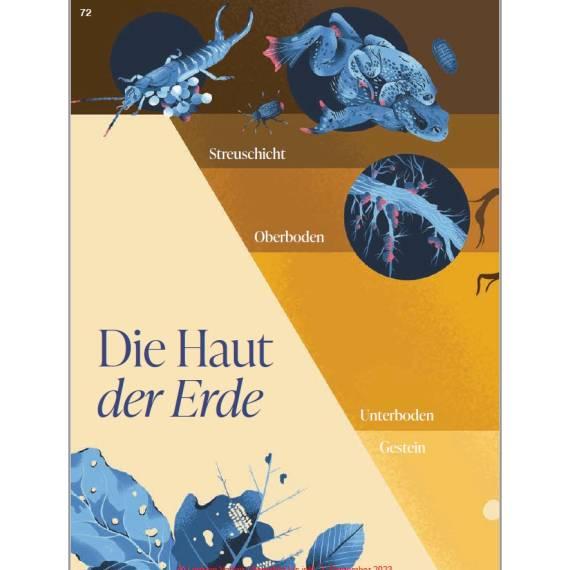 Buch DiversiWas Erde