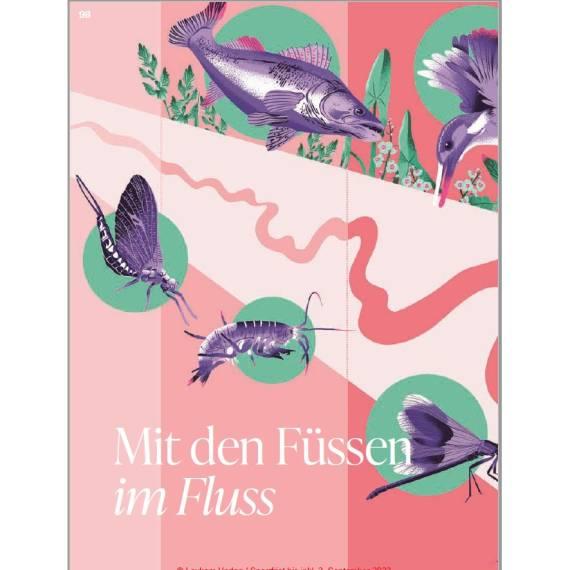 Buch DiversiWas Fluss