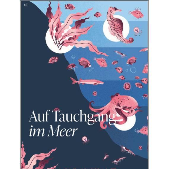 Buch DiversiWas Meer