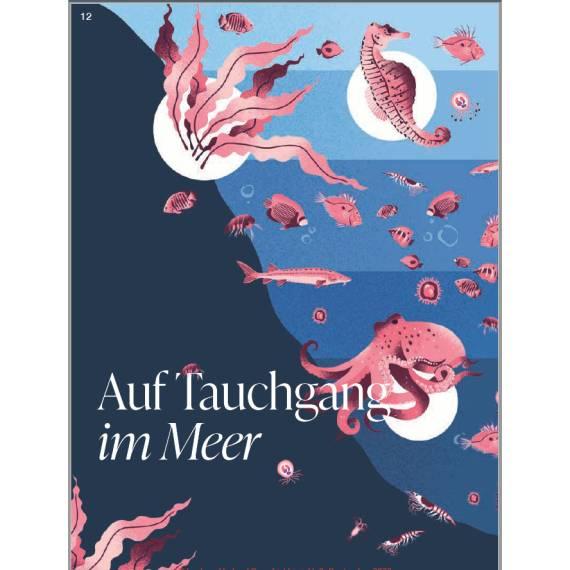 Buch DiversiWas Meer