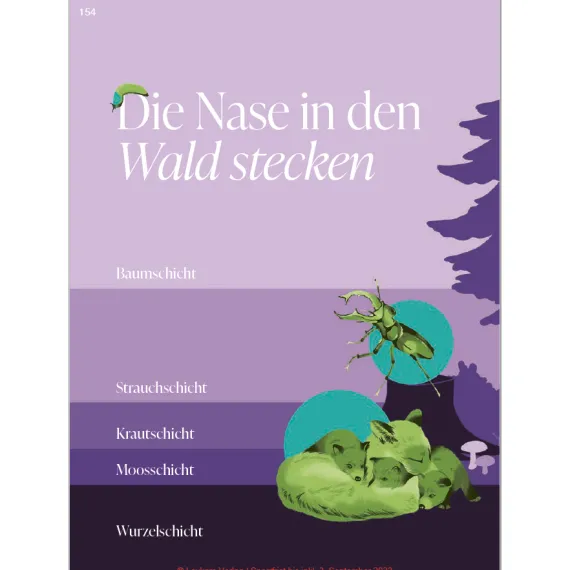 Buch DiversiWas Wald