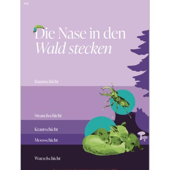 Buch DiversiWas Wald