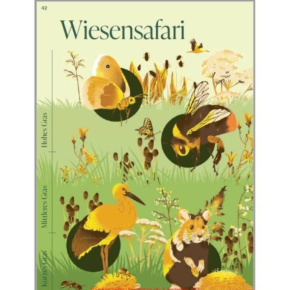 Buch DiversiWas Wiese