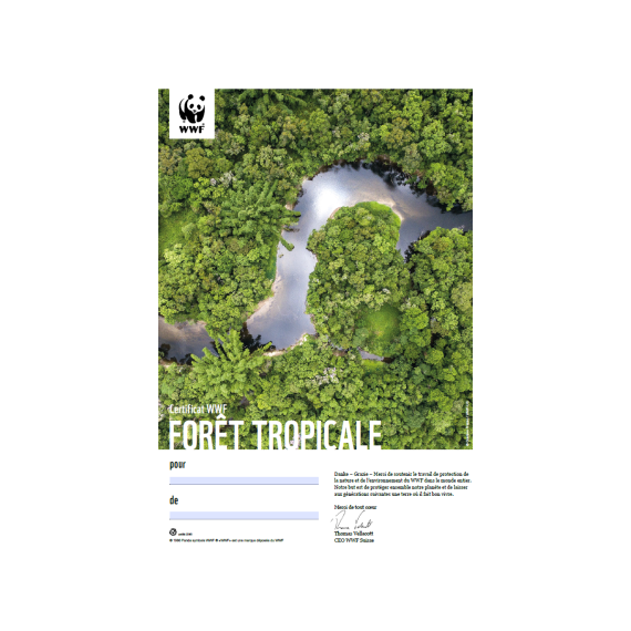 Certificat cadeau du WWF «Forêt tropicale»