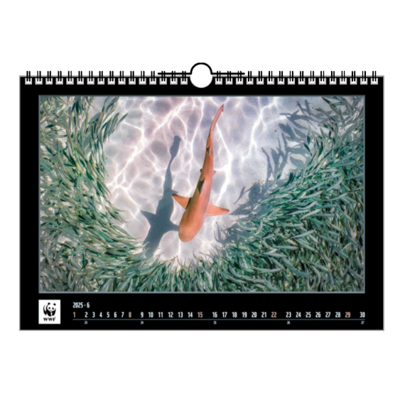 WWF Kalender 2025 - Vorschau 