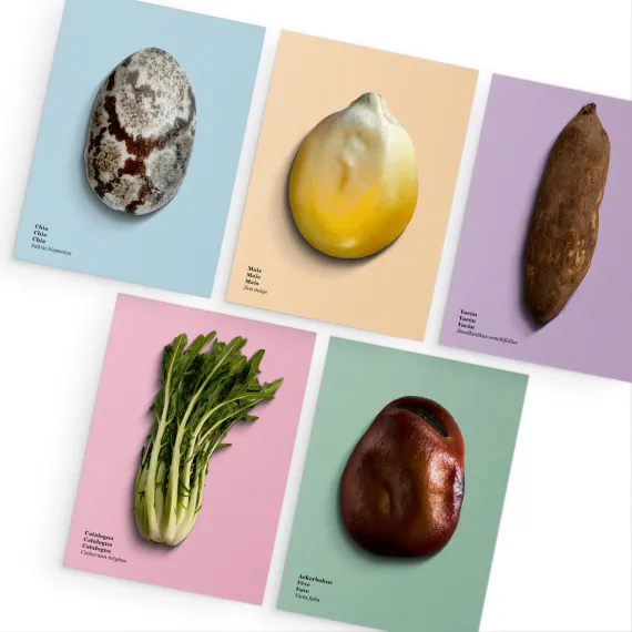 1420.40 WWF Postkarten «Future Foods» I