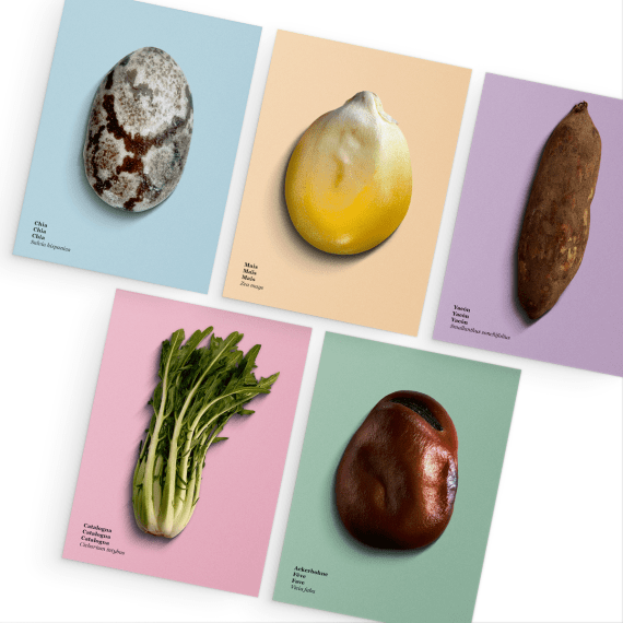 1420.40 WWF Postkarten «Future Foods» I