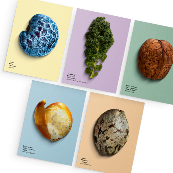 1420.50 WWF Postkarten «Future Foods» II