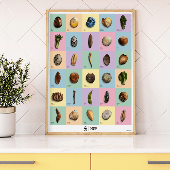 1420.60 WWF Poster «Future Foods»