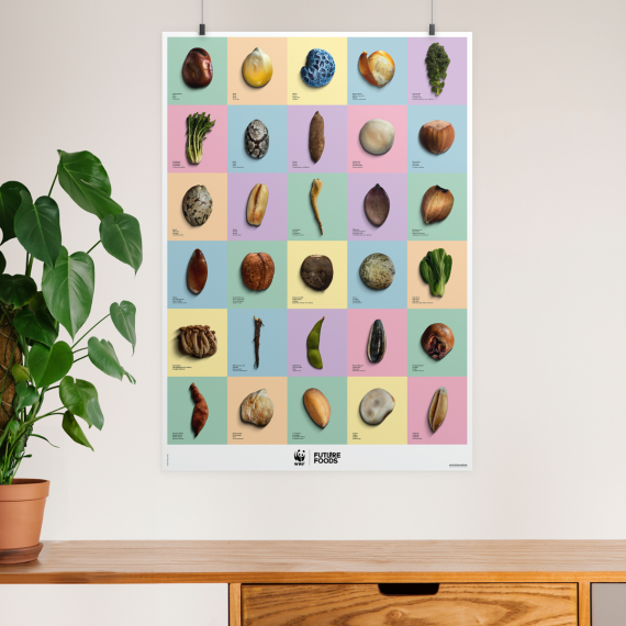 1420.60 WWF Poster «Future Foods»