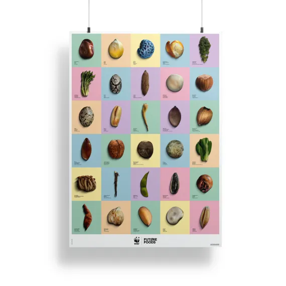 1420.60 WWF Poster «Future Foods»