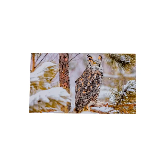 1419.50 WWF Grusskarten, Winter I