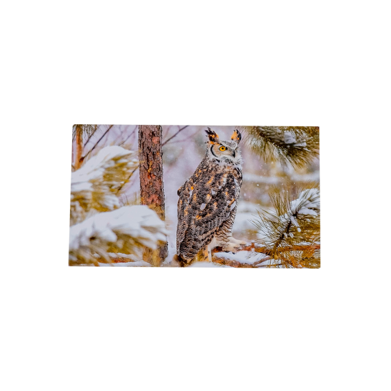 1419.50 WWF Grusskarten, Winter I
