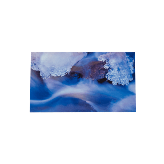 1419.50 WWF Grusskarten, Winter I