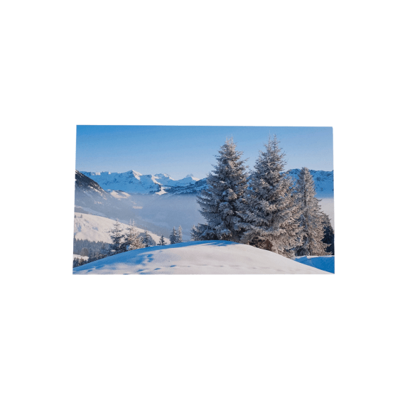 1419.80 WWF Grusskarten, Winter II