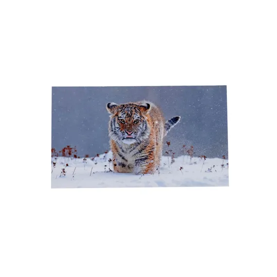 1419.80 WWF Grusskarten, Winter II