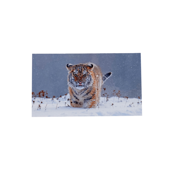 1419.80 WWF Grusskarten, Winter II
