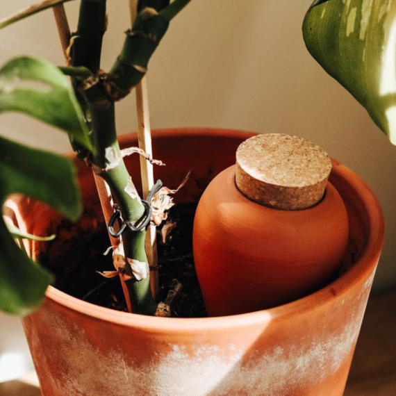 1361.00 Olla Terracotta