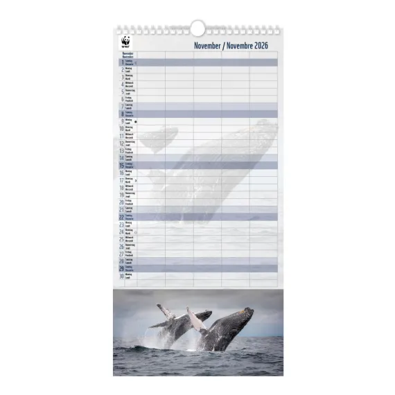 WWF Family Timer 2026 November