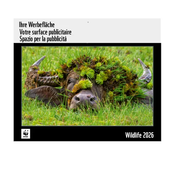 B2B Kalender 2026 inkl. Werbefläche