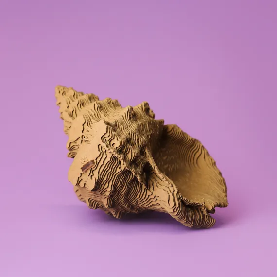 3D-Puzzle «Muschel»